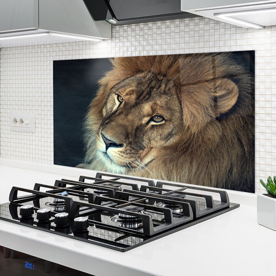 Konyhai üveg hátfal, African Lion, 50x60cm - eMAG.hu
