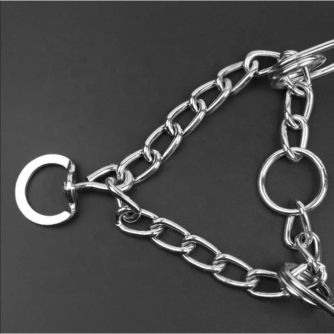 Zgarda de forta, PROpets, din metal pentru dresaj cu dinti