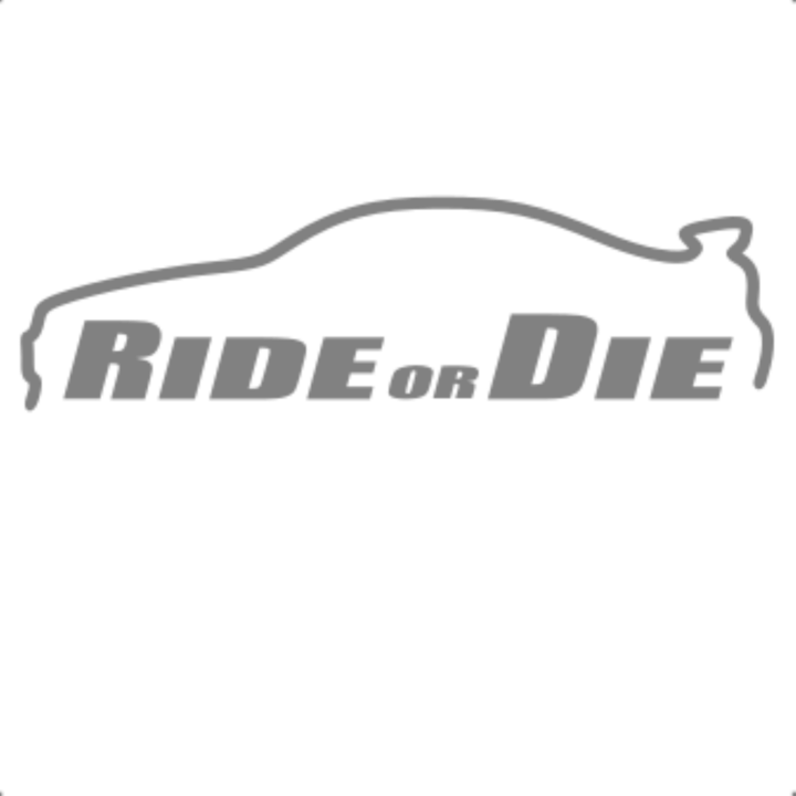 Sticker decorativ perete, auto si geam, Ride or die versiunea 2, Gri, 19 cm