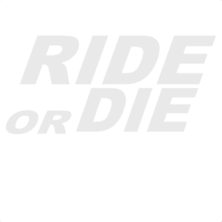 Sticker decorativ perete, auto si geam, Ride or die, Alb, 19 cm