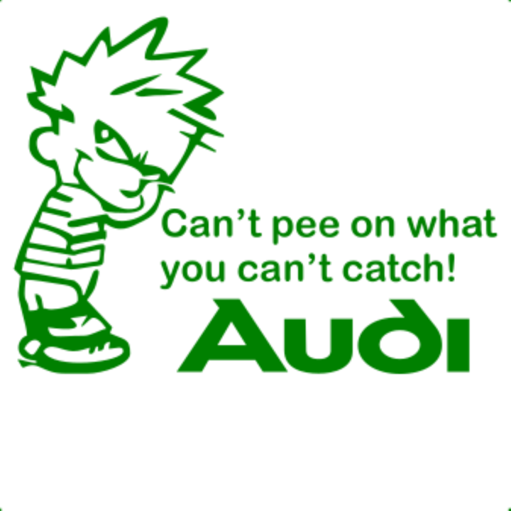 Sticker decorativ perete, auto si geam, Cant pee catch audi, Verde