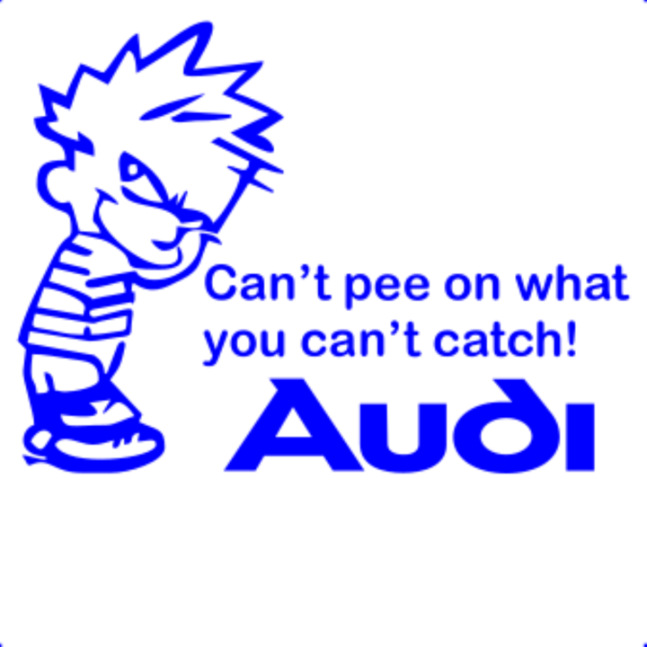 Sticker decorativ perete, auto si geam, Cant pee catch audi, Albastru