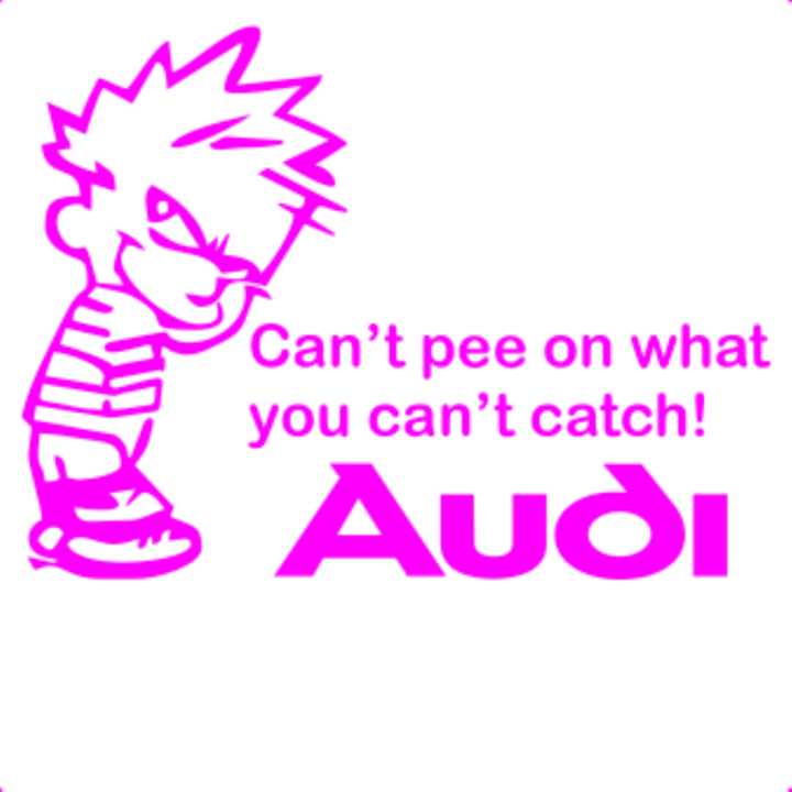 Sticker decorativ perete, auto si geam, Cant pee catch audi, Roz