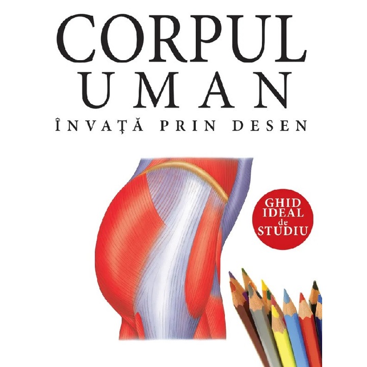Corpul Uman. Invata Prin Desen