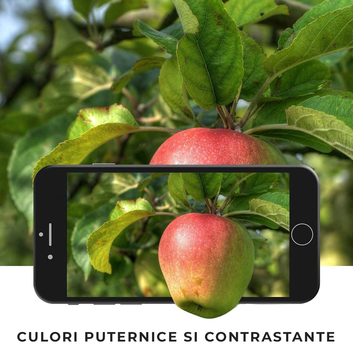 Дисплей Premium, за Apple iPhone 6S, черен, LCD, тъчскрийн - eMAG.bg