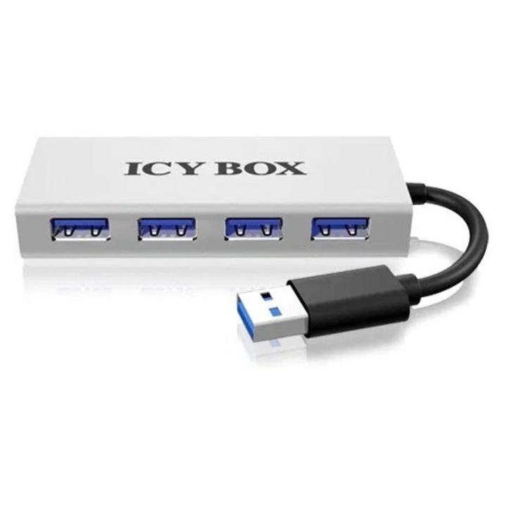 RaidSonic IB-AC6104 (IB-AC6104)