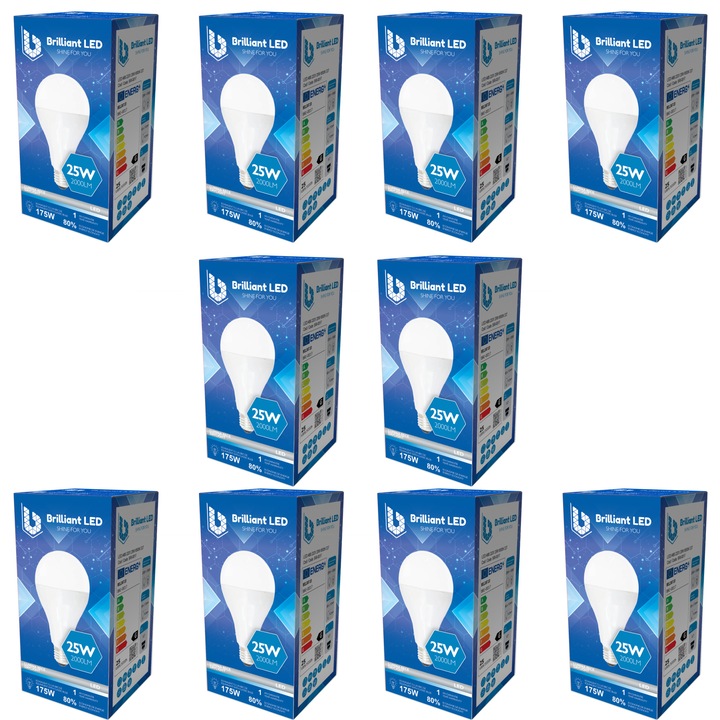 Комплект от 10 броя - LED крушка A80 Brilliant LED, E27, 25W (175W), 2000LM, G, студена светлина 6500K, мат