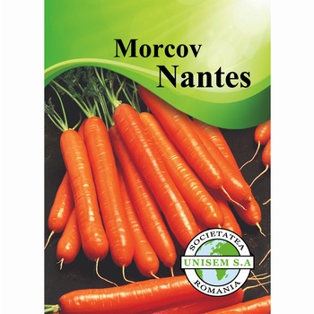 Seminte morcov Nantes 10g Seminte morcov Nantes 10g