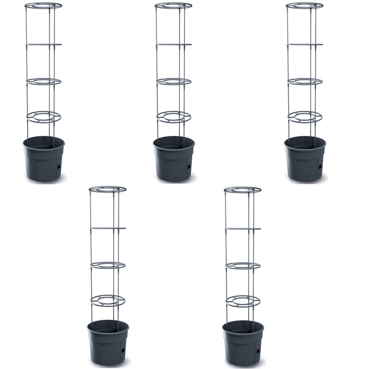 Set x 5 Ghiveci pentru rosi Tomato Grower, 12 L, Prosperplast, negru