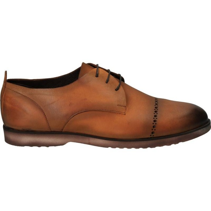 Pantofi barbati eleganti, piele, maro
