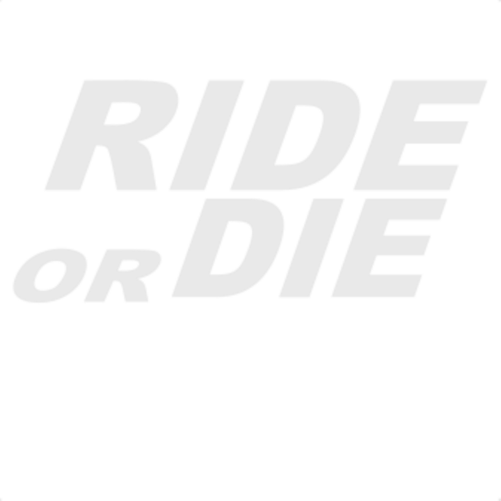Sticker decorativ perete, auto si geam, Ride or die, Alb, 25 cm