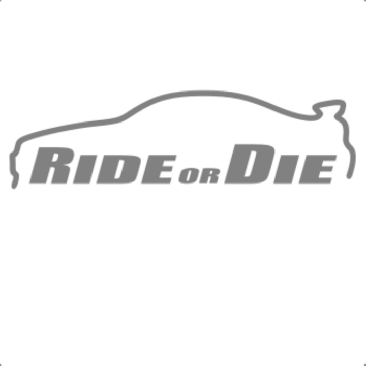 Sticker decorativ perete, auto si geam, Ride or die versiunea 2, Gri, 25 cm