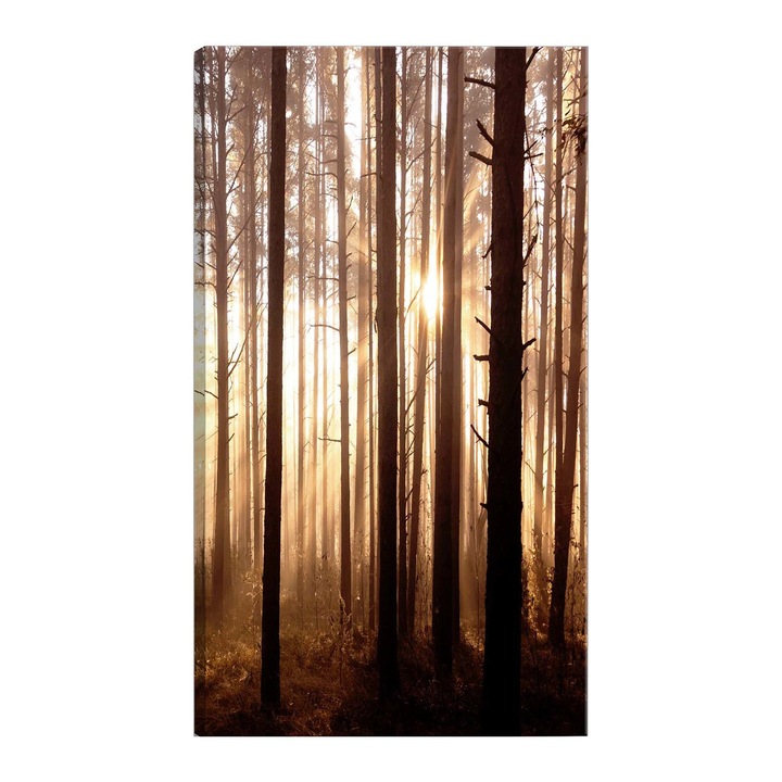 Tablou canvas Artgeist, Forest Paths Vertical, 80 x 120 cm