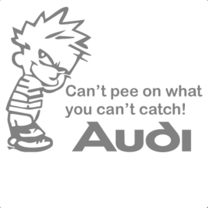 Sticker decorativ perete, auto si geam, Cant pee catch audi, Gri, 25 cm