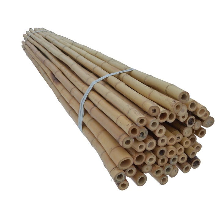 Комплект от 10 броя бамбукови опори Dixiestore 150 см 24/26 мм