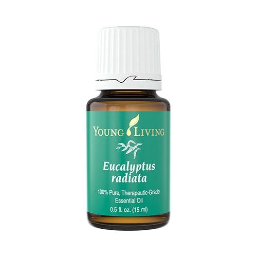 Ulei esential Eucalyptus Radiata - 15 ml