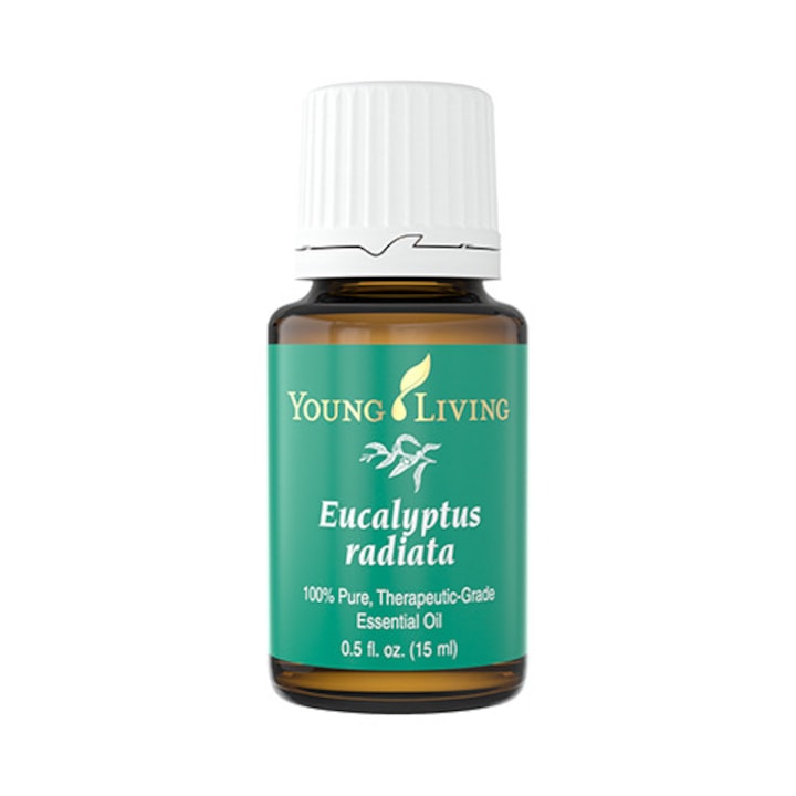 Young Living Eucalyptus Radiata illóolaj - 15 ml