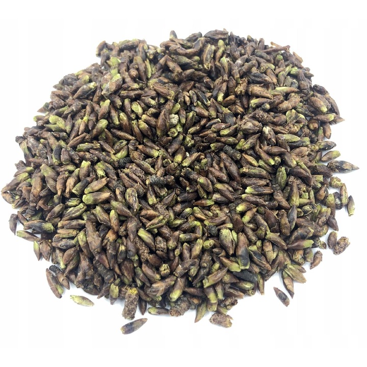 Брезови пъпки, Agrest, Геммотерапия, 100% натурални, нарязани, изсушени, DoyPack, 1000g