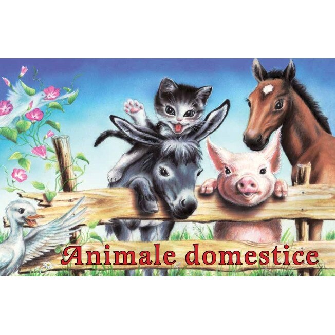 Animale Domestice
