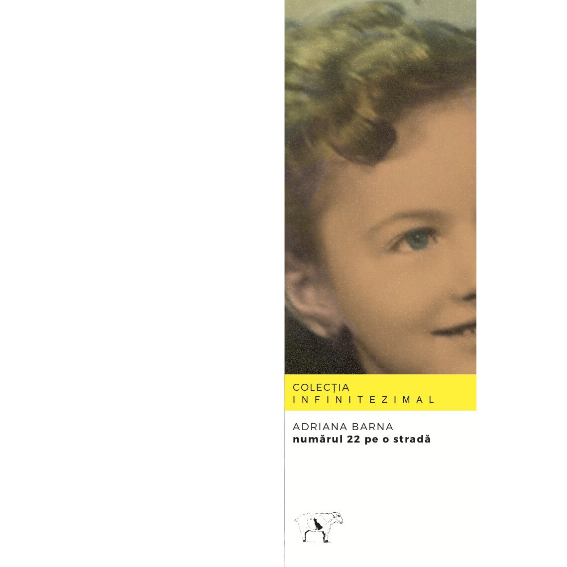 Numarul 22 pe o strada - Adriana Barna