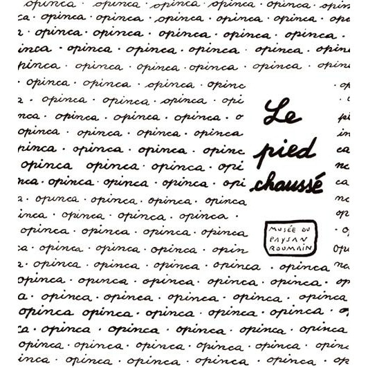 Le Pied Chausse - Irina Nicolau