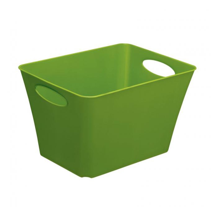 Cutie depozitare Rotho, living, 24 l, verde