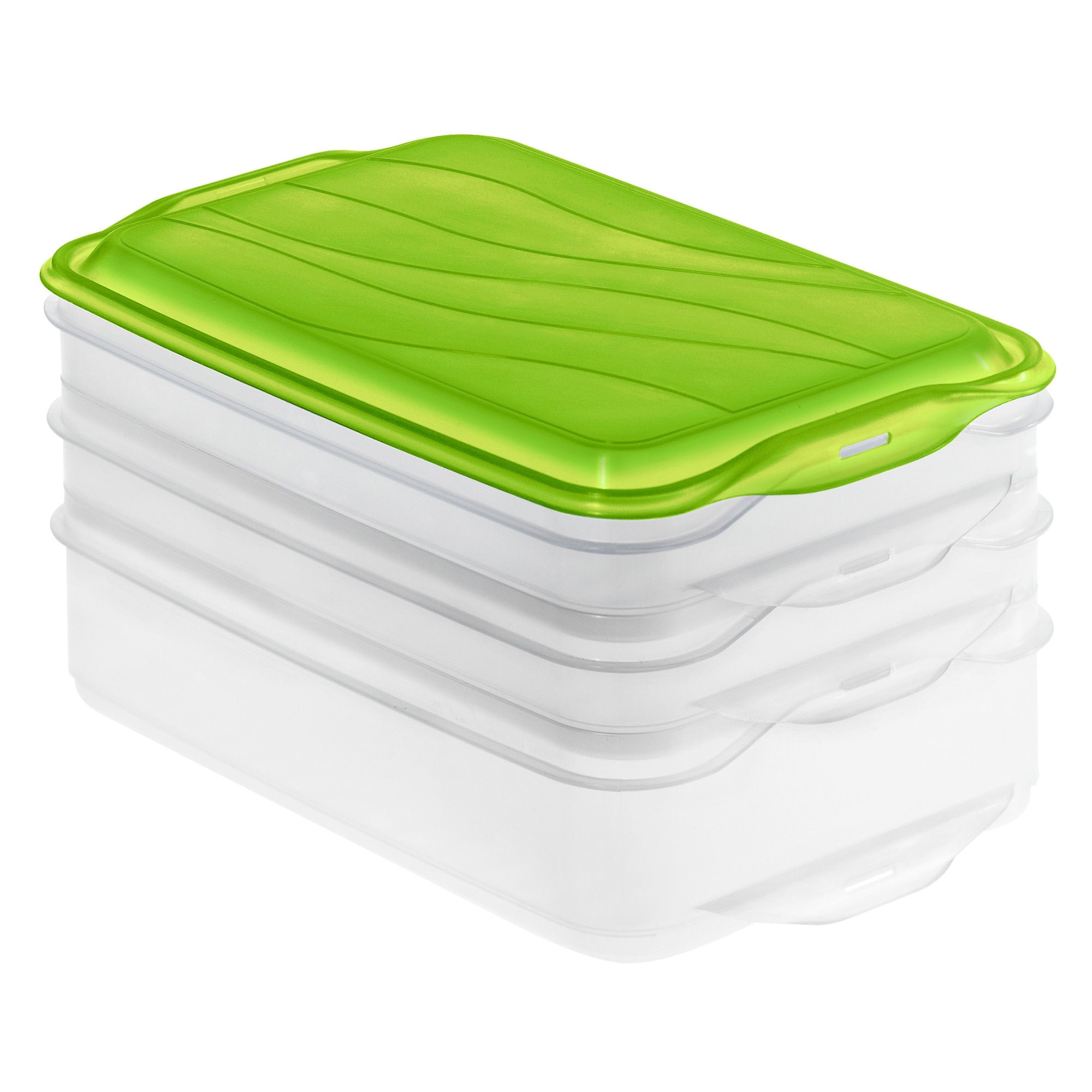 Set 3 cutii alimente cu capac Rotho, 2 x 0.75 l, 1 x 1.35 l, transparent verde