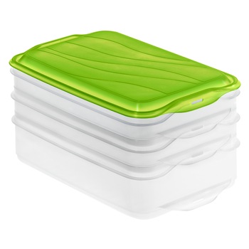 Set 3 cutii alimente cu capac Rotho, 2 x 0.75 l, 1 x 1.35 l, transparent verde Set 3 cutii alimente cu capac Rotho, 2 x 0.75 l, 1 x 1.35 l, transparent verde