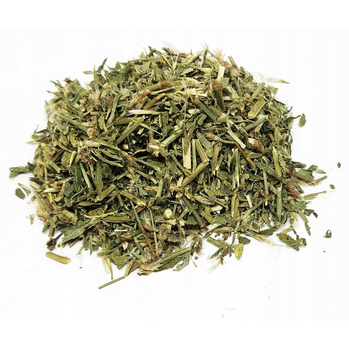 Planta de troscot, Agrest, 100% natural, monocomponent, Taiati, DoyPack, 1000 g