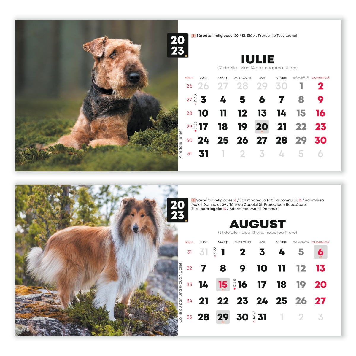 Calendar De Birou 2023 Catei Format 235x105 Cm 12 Pagini Emagro 0895