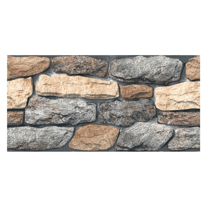 Placa murala portelanata 1289, 30 x 60, mata, 0.9 mp/cutie