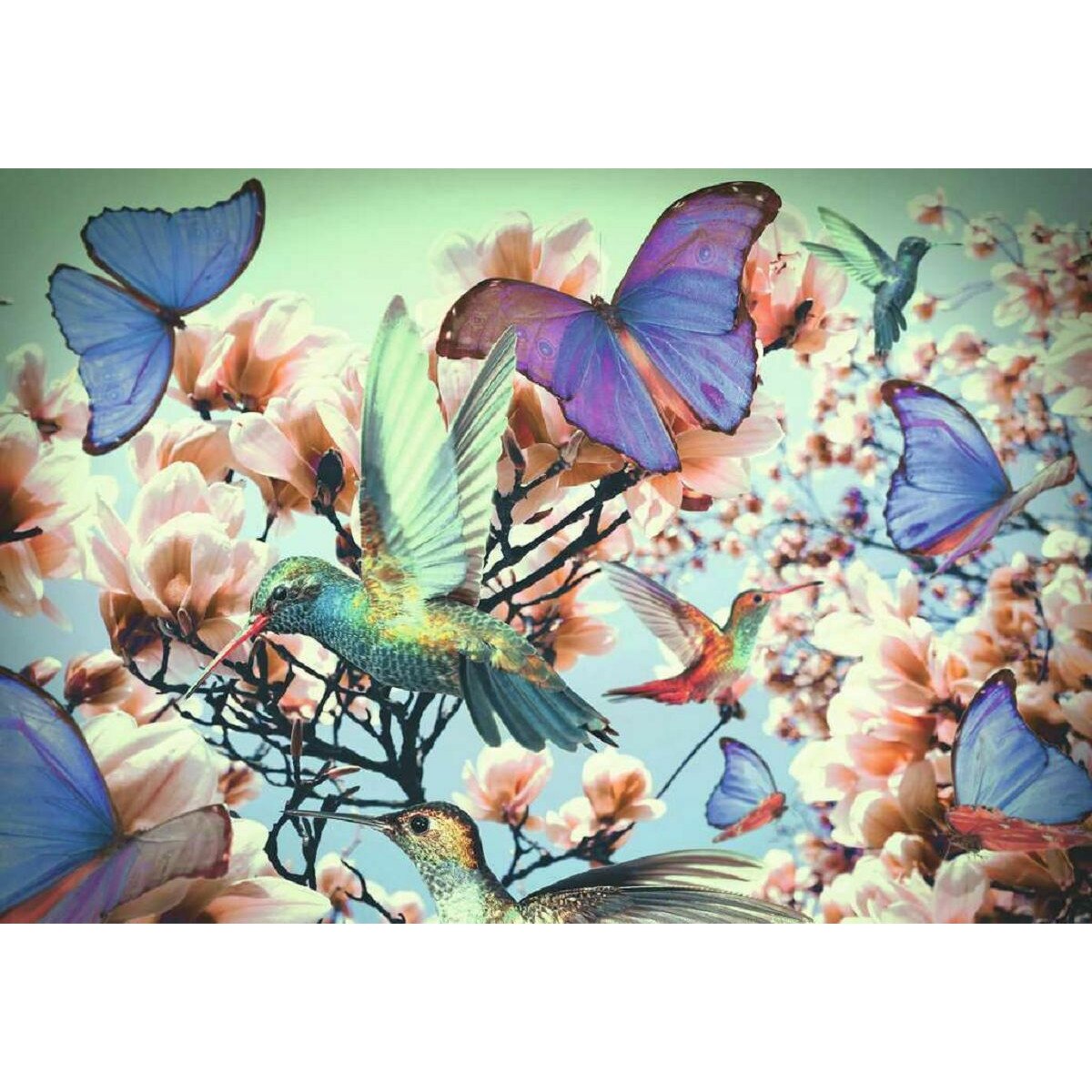 Ravensburger Puzzle di colibrì e farfalle 200 pezzi