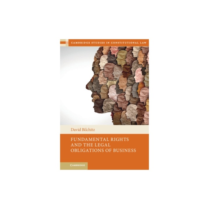 Fundamental Rights and the Legal Obligations of Business, David Bilchitz
