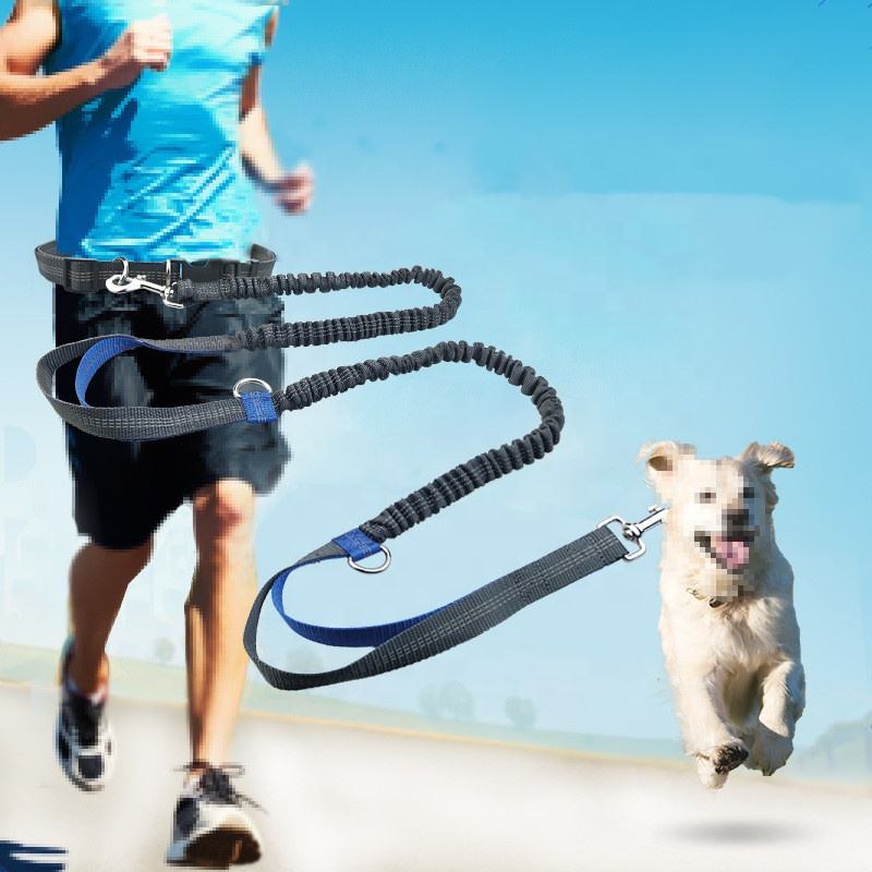 waistband leash