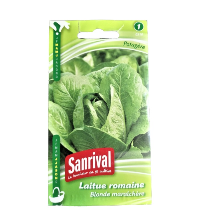 Samante salata verde Sanrival Laitue Romaine Blonde Maraichere, frunze alungite, groase si carnoase, 3gr