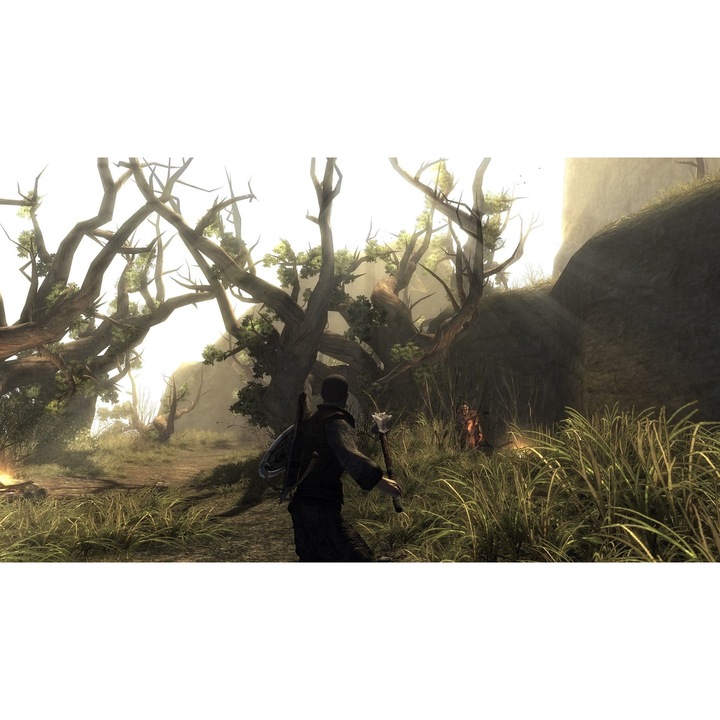 Joc Risen Pentru Nintendo Switch