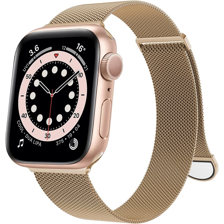 Curea milanese loop DALBAN®, pentru Apple Watch Ultra/SE/8/7/6/5/4/3 Display 42/44/45/49 mm, Auriu