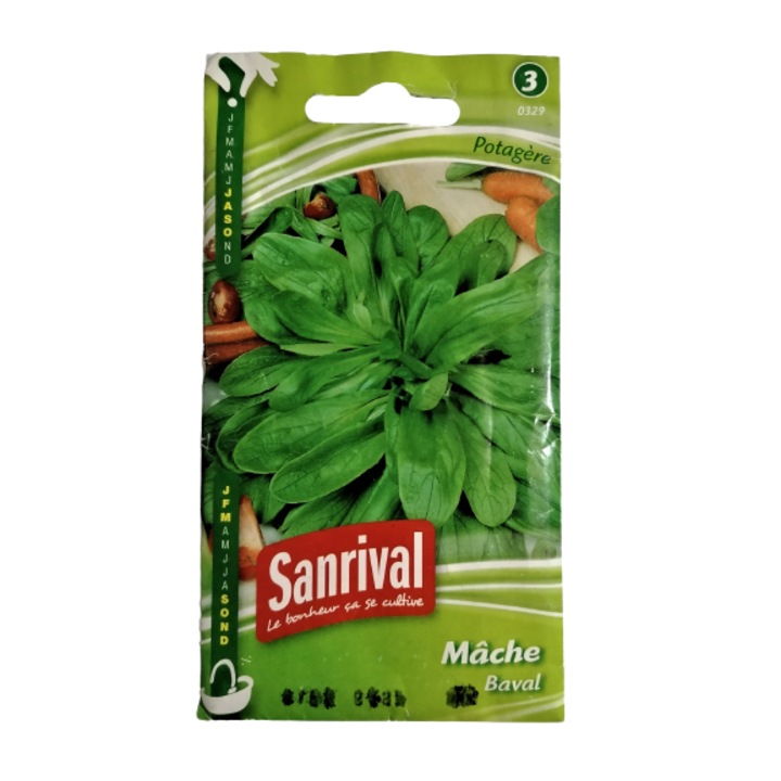 Seminte salata fetica Sanrival Mache Baval 3gr