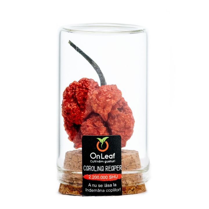 Ardei iute deshidratat, Carolina Reaper, 2.200.000 SHU, OnLeaf