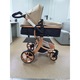 Carucior de copii 2 in 1 Visoli Gold