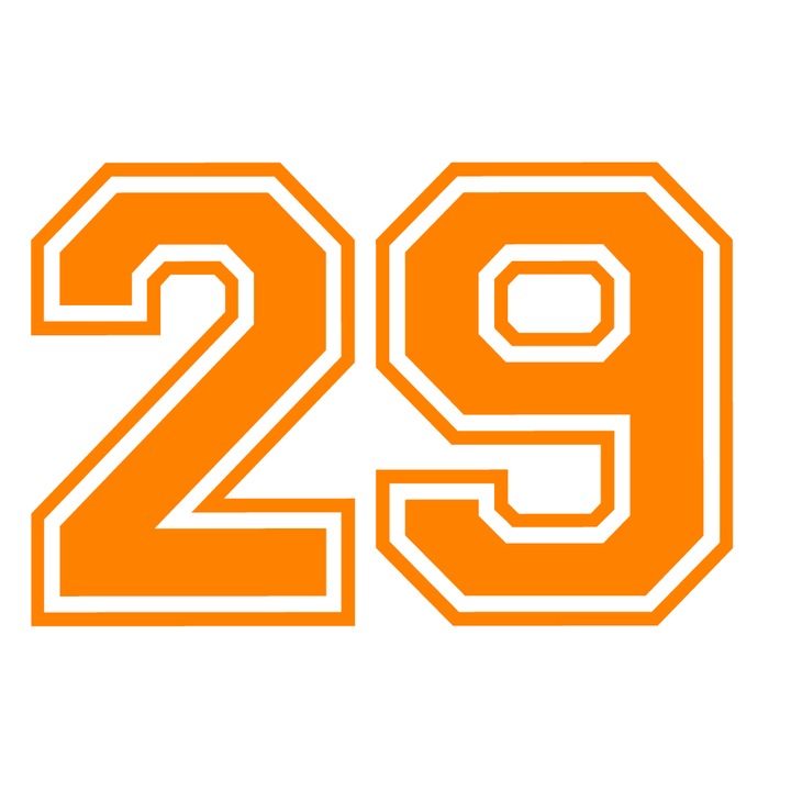 Sticker decorativ perete, auto si geam, Numarul 29, Portocaliu, 40 cm