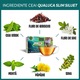 Ceai de slabit, Complex de slabit - 21 zile, Qualuca Slim Siluet, set 3 cutii, 60 plicuri, 90gr