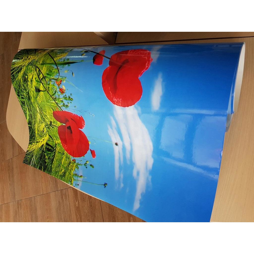 Стикер за стена, Folina, многоцветен модел Поле с макове, размер на ...