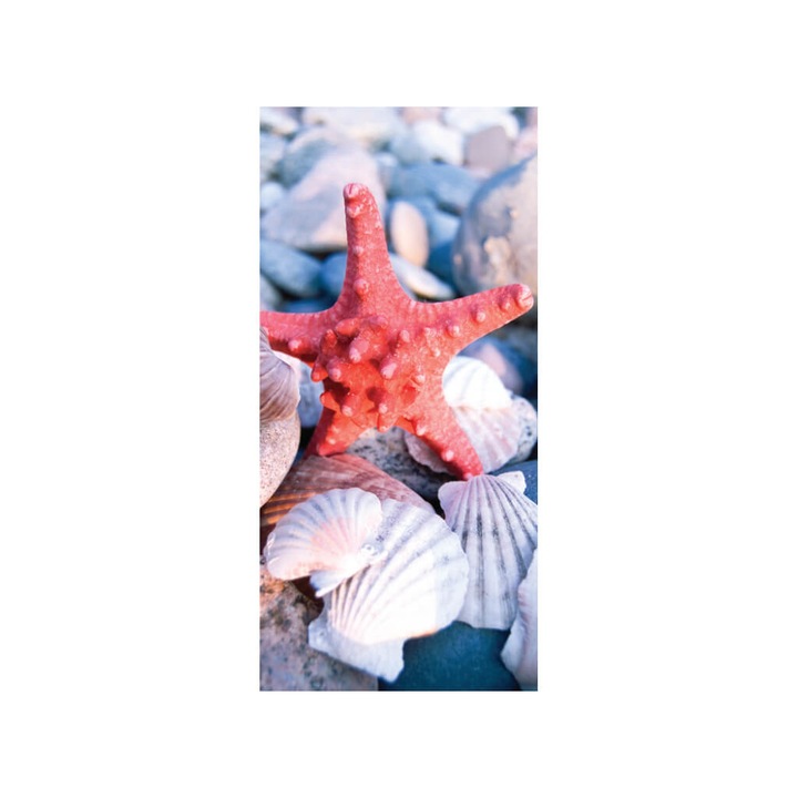 Folie cabina dus, Folina, sablare cu model stea de mare, rola de 100x210 cm