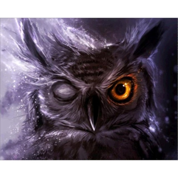 Set de broderie cu diamante 5d, Pictura cu diamante 30x40cm, model 28644309