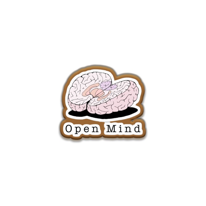 Insigna din lemn cu brosa Open Mind, multicolor, 3 cm