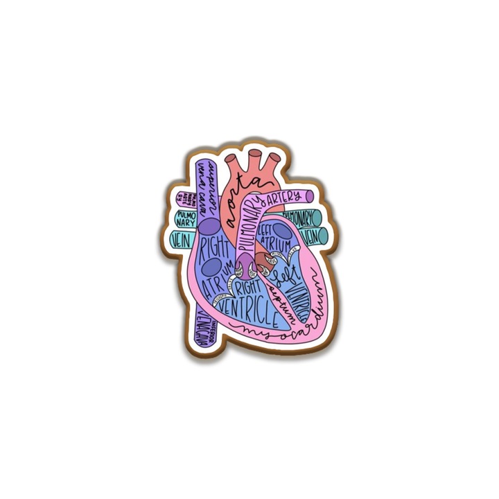 Insigna din lemn cu brosa Heart Anatomy, multicolor, 3 cm