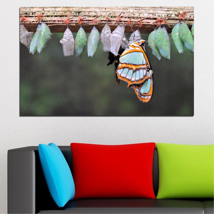 Декоративни панели Vivid Home от 1 част, Природа, PVC, 35x25 см, №0207