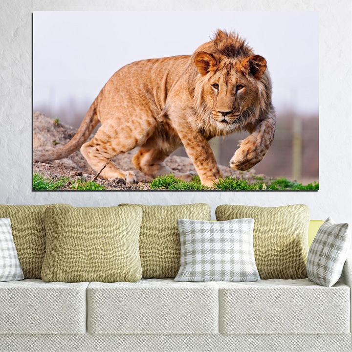 Декоративни панели Vivid Home от 1 част, Животни, PVC, 35x25 см, №0295