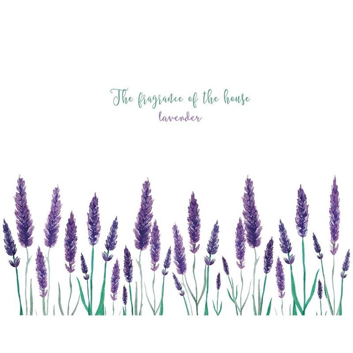 Sticker decorativ cu Flori de Lavanda Luxer, Autocolant Purple Lavander